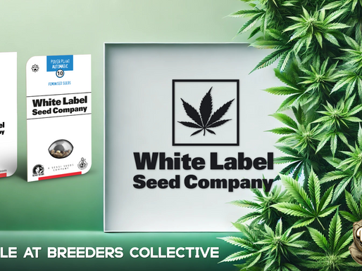 White Label Seed Company Now Available at Breeders Collective