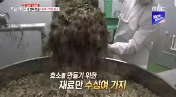 에치고 니가타 MBC 현지촬영1-20.jpg