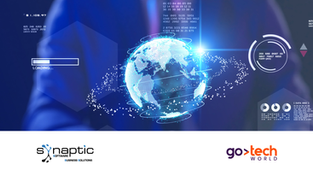 Advantages of Business Digitalization: The SYNAPTIC SBS Approach