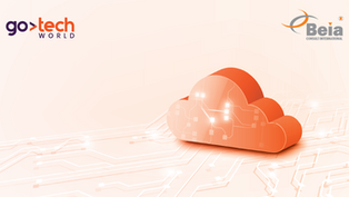 BEIA Consult – Soluții complete de telecomunicații și telemonitorizare