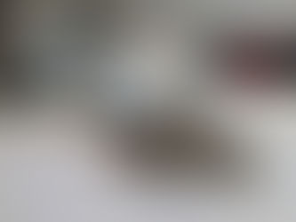 Putekļu ērču ekstrakcija 