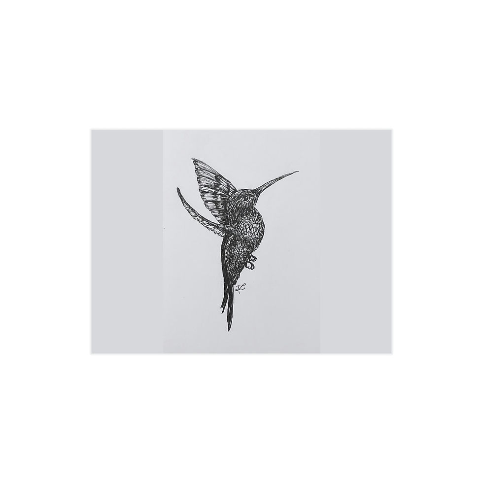 Thumbnail: Hummingbird Illustration Print