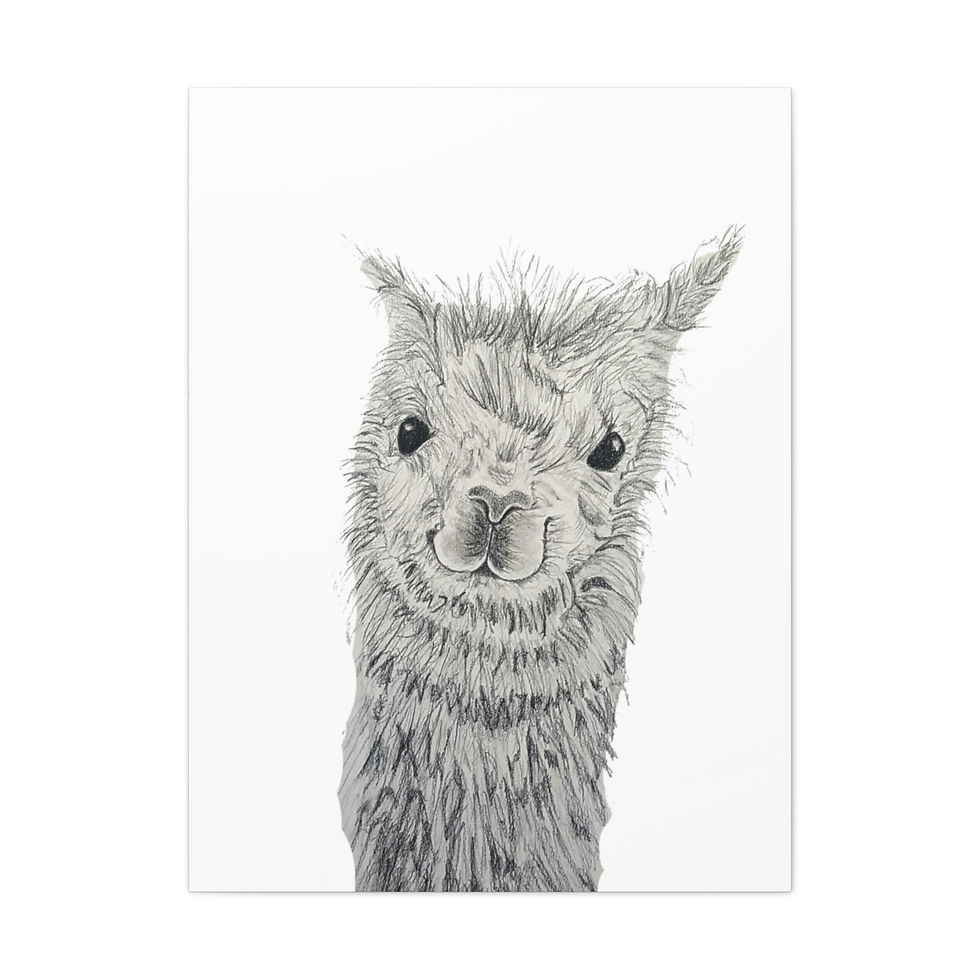 Thumbnail: Llama Illustration on Canvas
