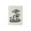Thumbnail: Mushroom Illustration Print