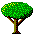 arbolito