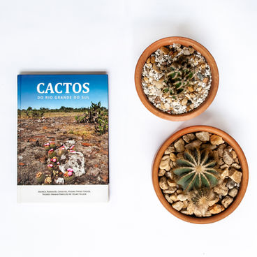 Cactos: dicas de leitura
