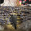 Thumbnail: Crystal Pendulums