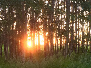 A Good Word: Wilderness