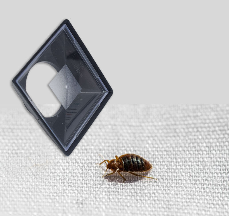 Thumbnail: Bed bug detector