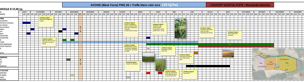PLAN D'ASSOLEMENT3.jpg