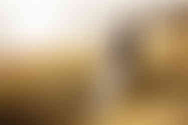 A bride and groom walk through long grass during their wedding in Devon.