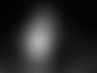 A bride and groom share a kiss whilst holding bottles of champagne. Captured by Fox and Co Photography wedding content creation in Devon.