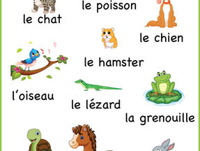 Quel est ton animal prefere? Fransızca A4 Free Printable