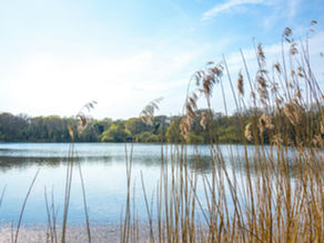 The Blend July 2025 Edition