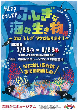 ふしぎな海の生き物展.jpg