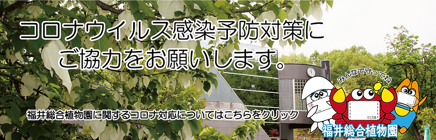 コロナウイルス対策用体育施設バナー（植物園）.png