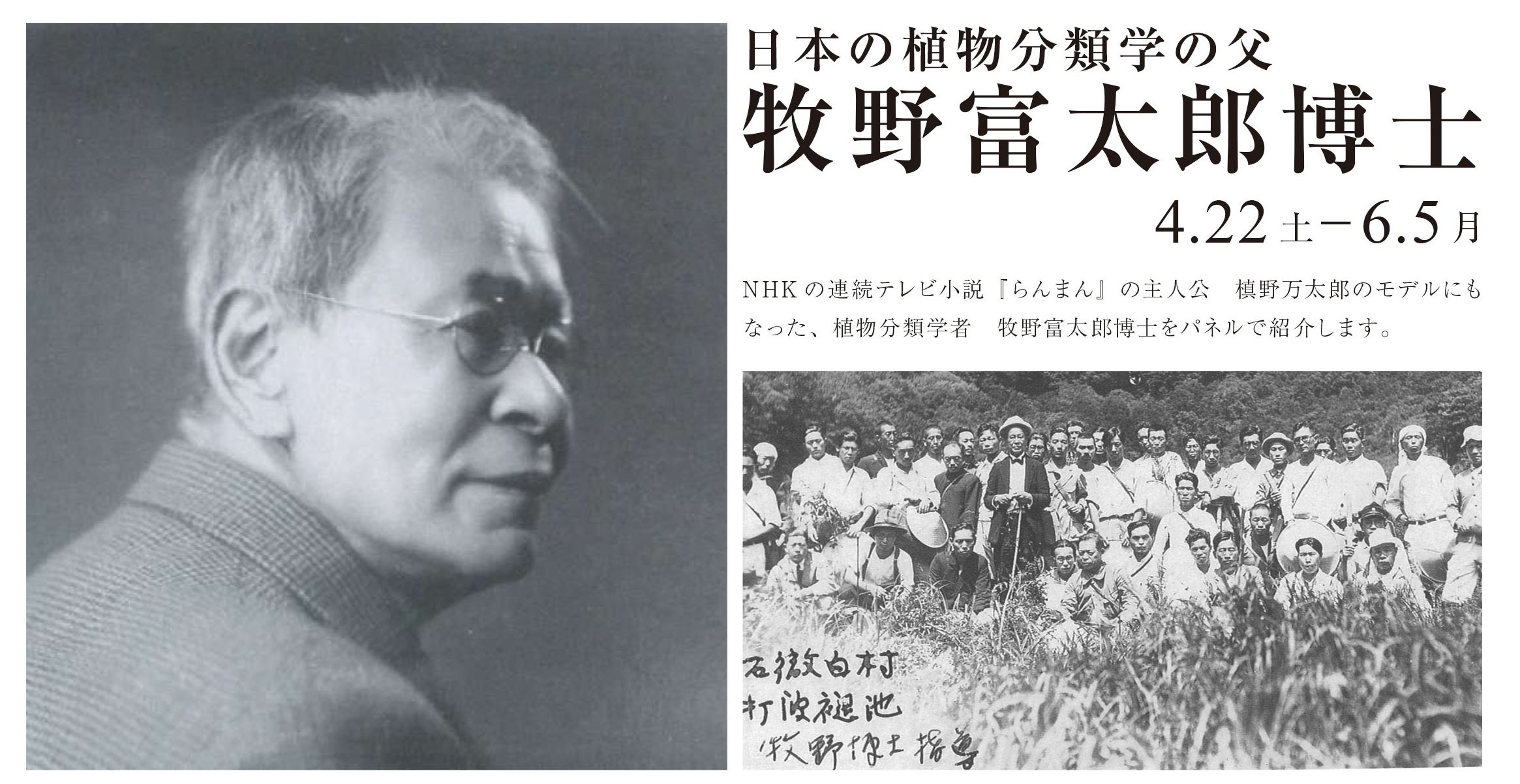 日本の植物分類学の父 牧野富太郎博士 | 越前の今を楽しむ
