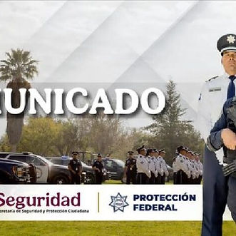 LOGO P51.jpg