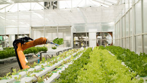 Robotics is changing the Agricultural Sector