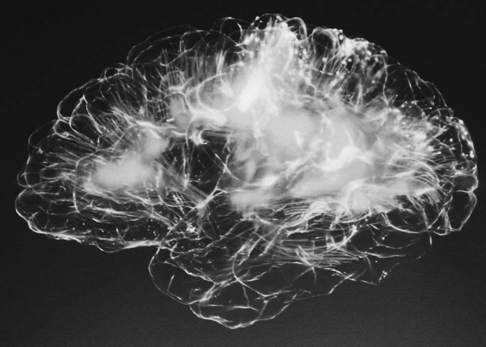 Neuronennetz