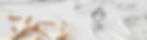 WEB BANNER 01.jpg