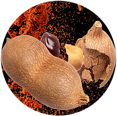 iconos tamarindos.png