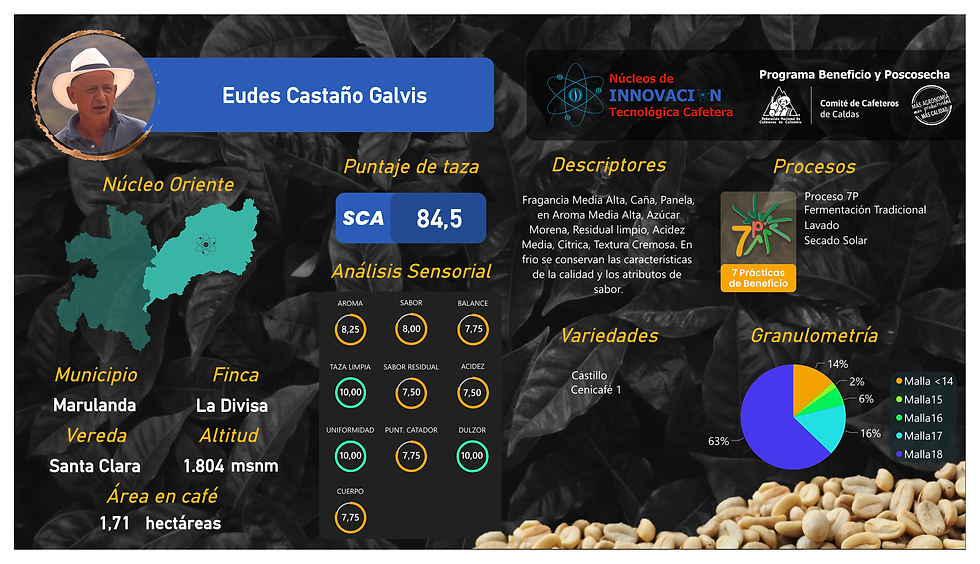 Captura de pantalla 2025-03-06 160447.png