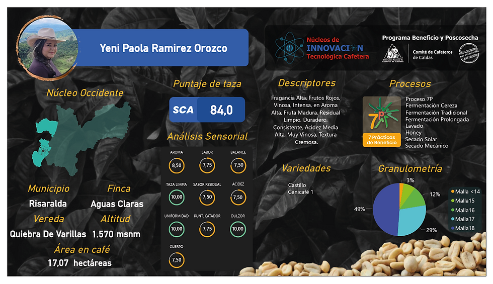 Captura de pantalla 2025-03-06 160447.png