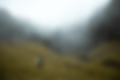 Cascada (1) (1).png