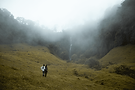 Cascada (1) (1).png