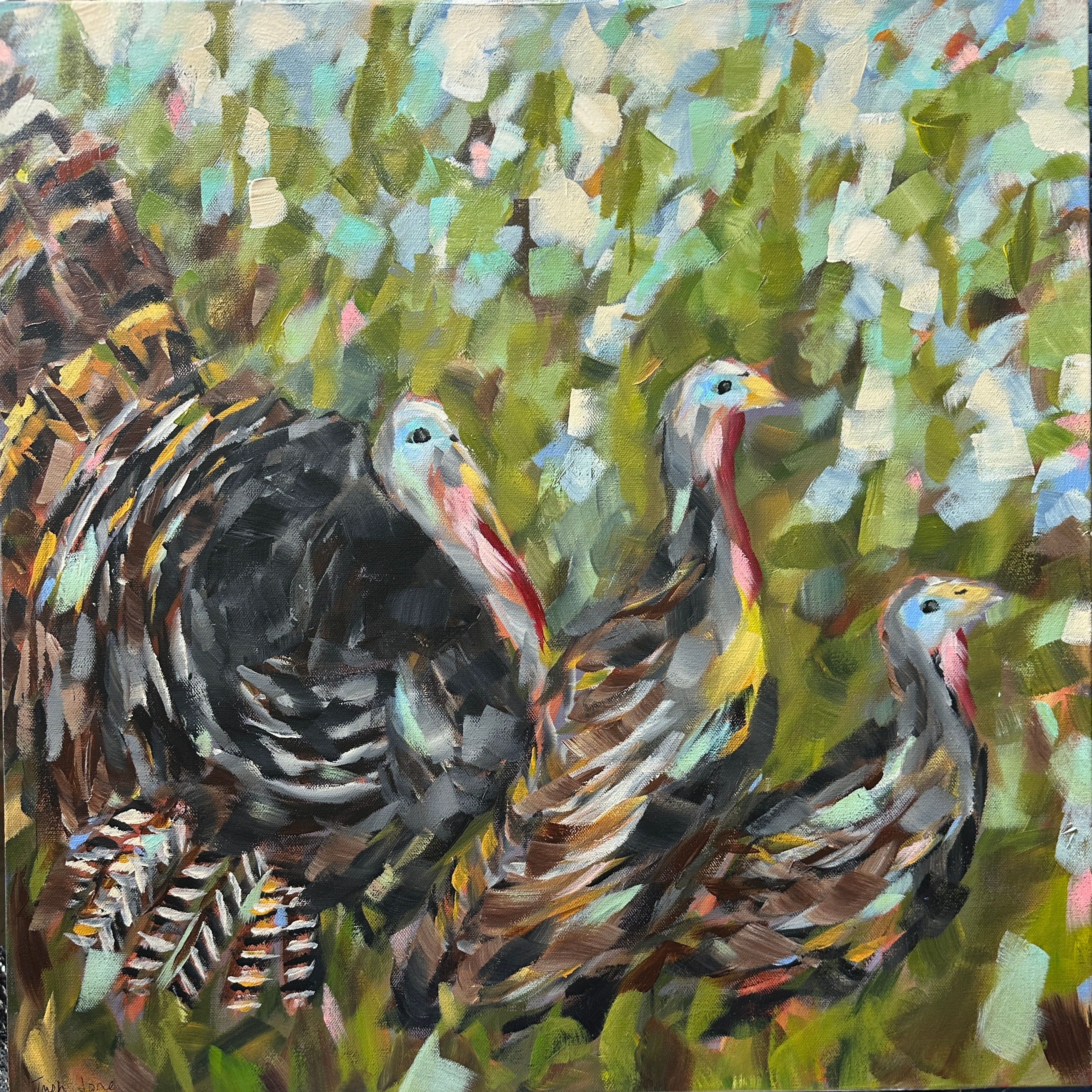 Turkeys 24"x24"