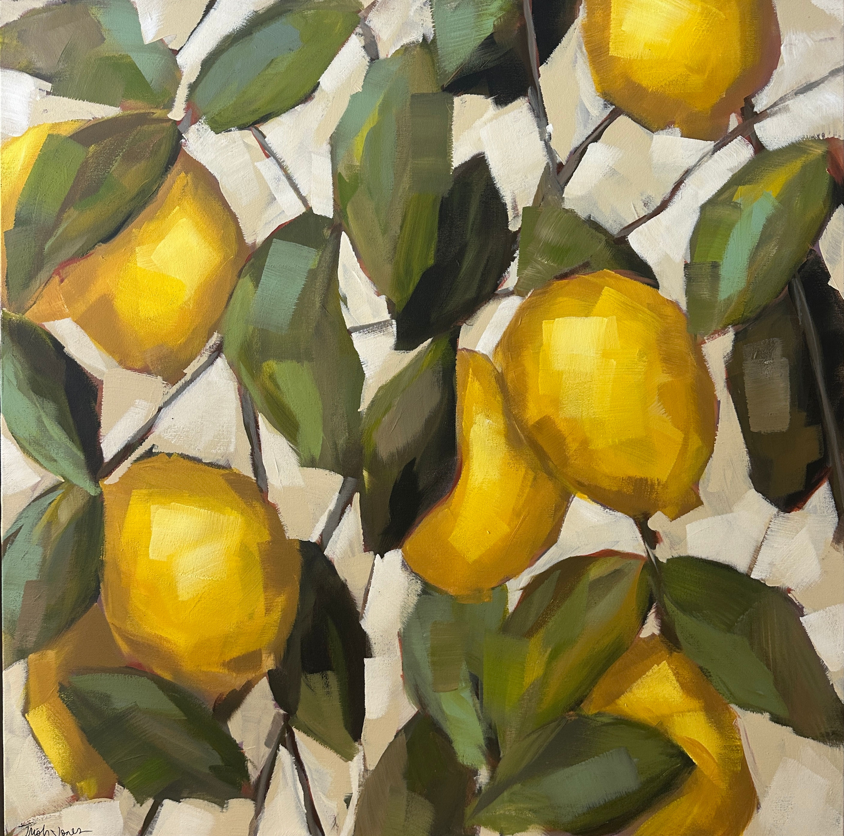 Meyer Lemon Tree by Trish Jones
