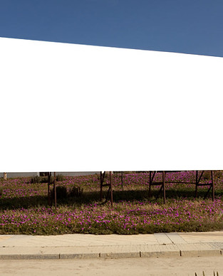 Blank Billboard