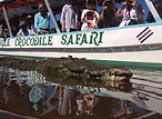 Descending the Rio Tarcoles and its crocodiles