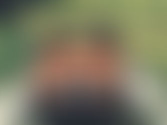 Getting Around Ireland, some questions