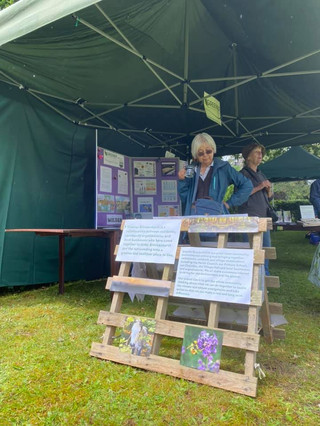 Greener Brockenhurst Eco Fair July 2021