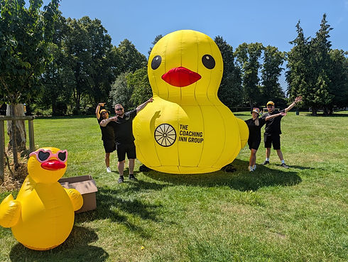 Duck Image.jpg