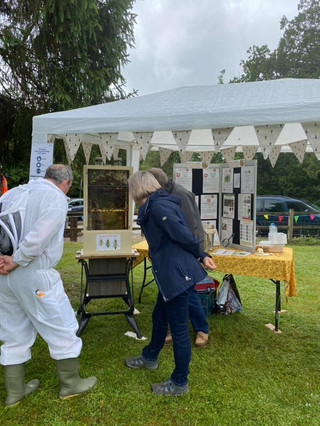 Greener Brockenhurst Eco Fair July 2021
