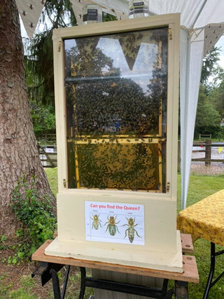 Greener Brockenhurst Eco Fair July 2021