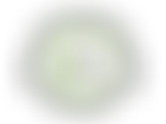 Teddy's Wish Retreat