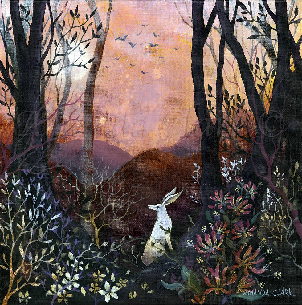 Wildflower Meadow