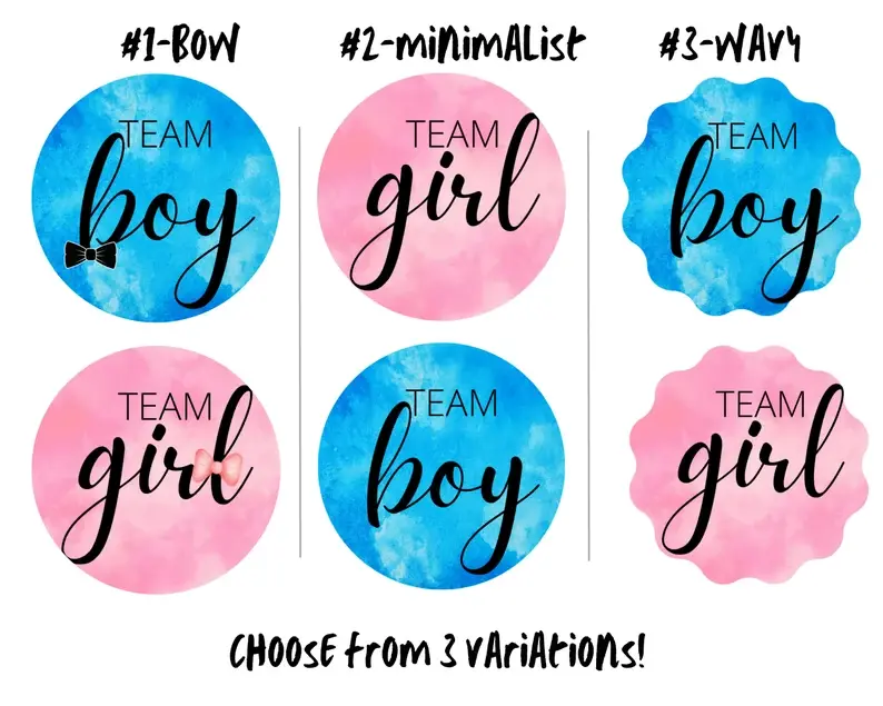 Thumbnail: Set of 24 Gender Reveal Party Stickers - Team Pink + Team Blue Stickers