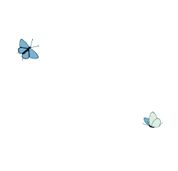 gif-papillon-89.gif