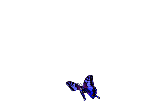unnamed.gif