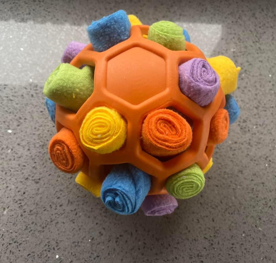 Thumbnail: Pet enrichment snuffler