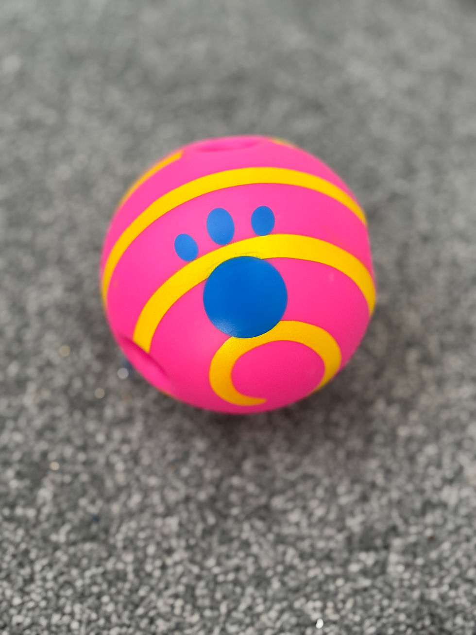 Thumbnail: 10cm - Interactive sound ball