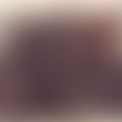 Famous guests in Šeduva