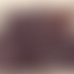 Žymūs svečiai Šeduvoje