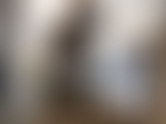 Cathedral of Moths - Experimental Video