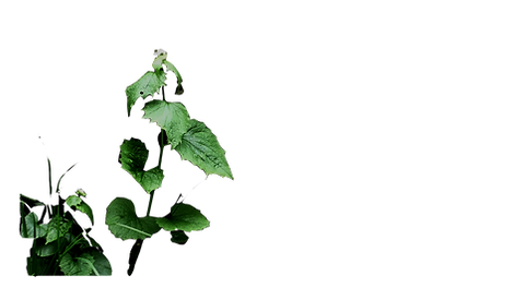 Screenshot (802).png